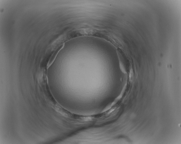 X0000076430233200610202253