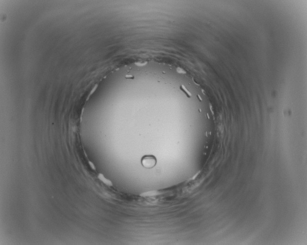 X0000076430235200610202253