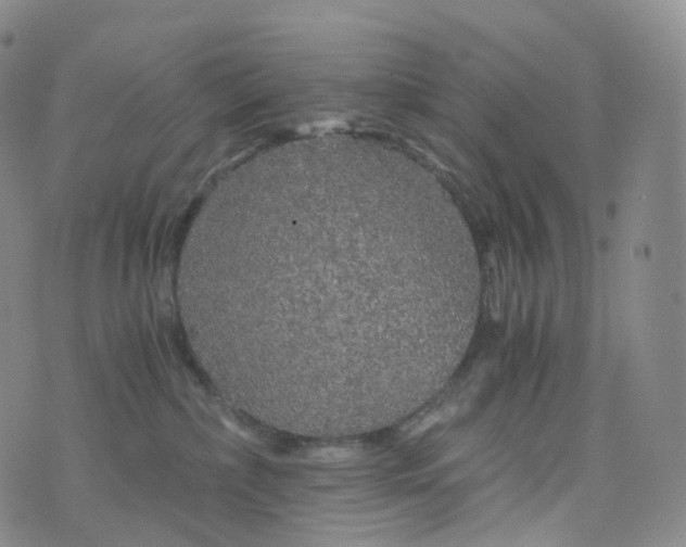 X0000076430236200610202253