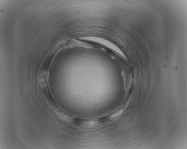 X0000076430237200610202253