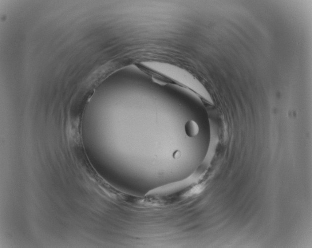 X0000076430239200610202253