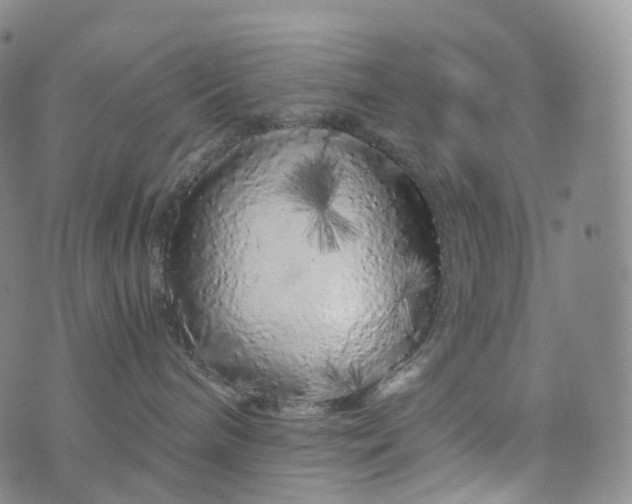 X0000076430240200610202252