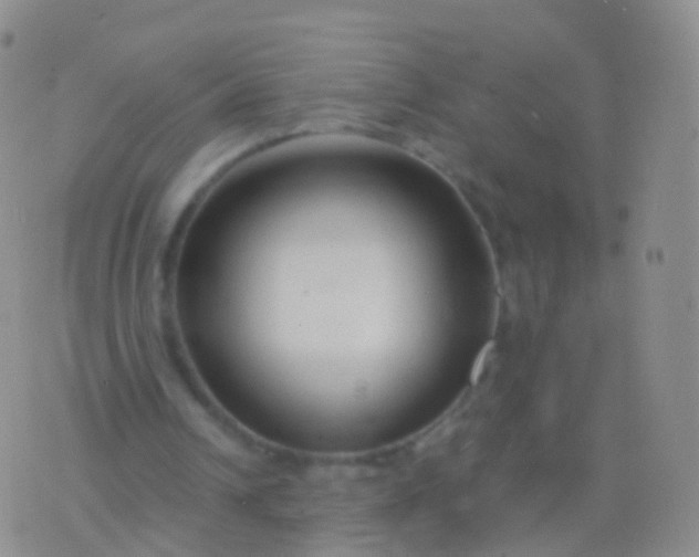 X0000076430242200610202252