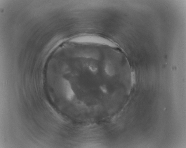 X0000076430243200610202252