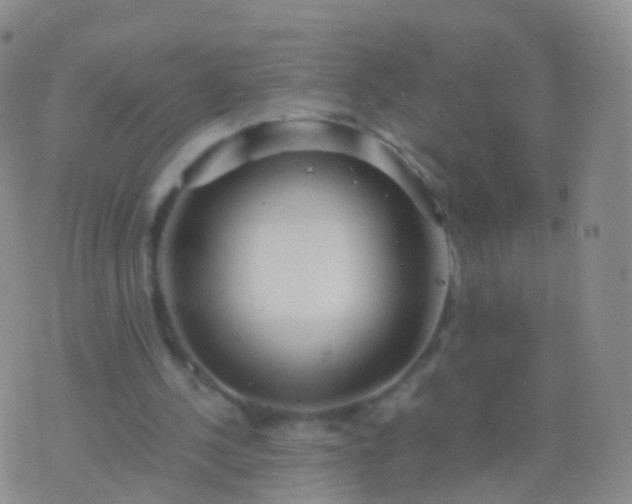 X0000076430244200610202252