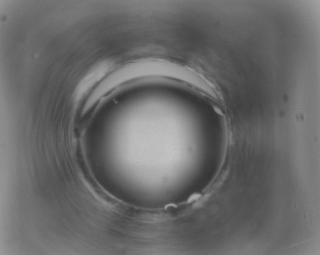 X0000076430245200610202252