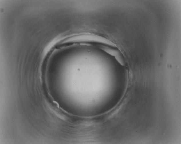 X0000076430246200610202252