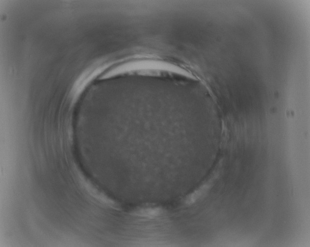 X0000076430247200610202252