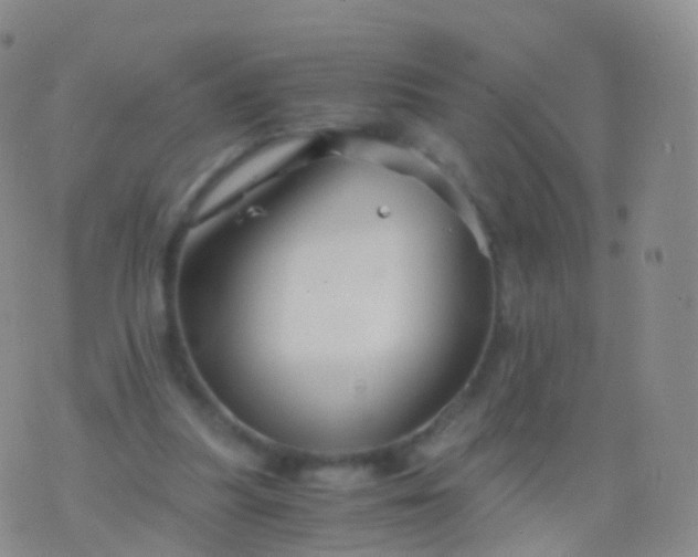 X0000076430251200610202252