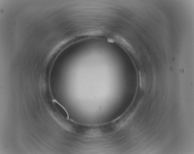 X0000076430252200610202252