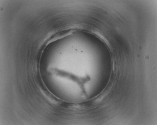 X0000076430253200610202252