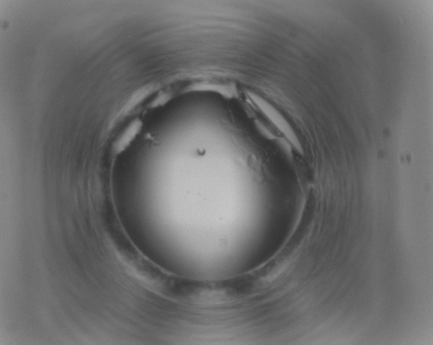 X0000076430256200610202252