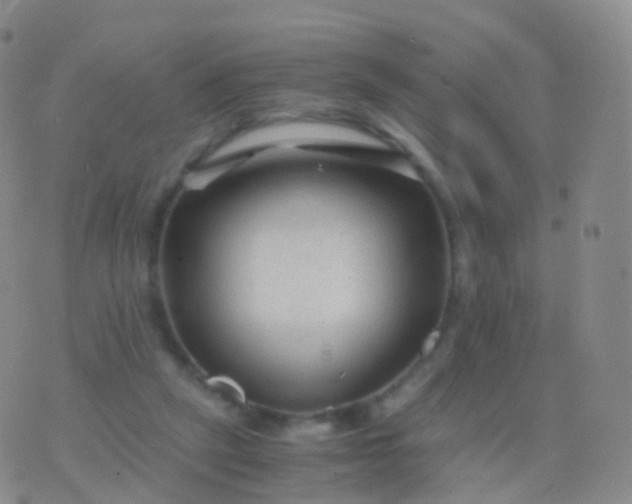 X0000076430257200610202252