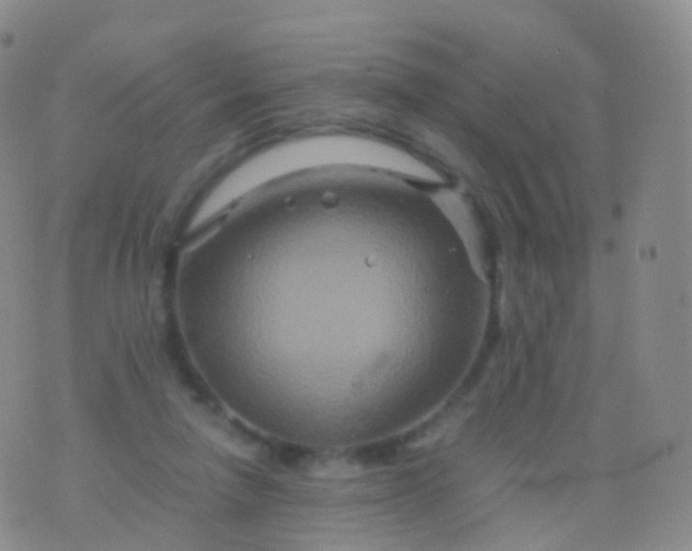 X0000076430258200610202252