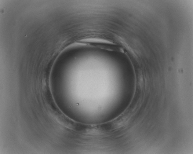 X0000076430259200610202252