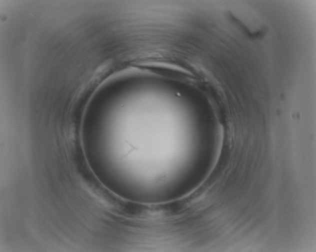 X0000076430260200610202252