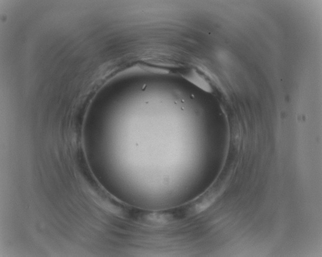 X0000076430261200610202252