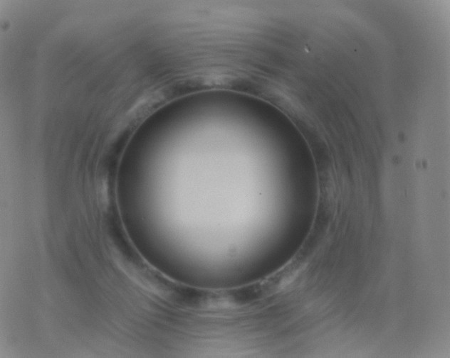 X0000076430262200610202252