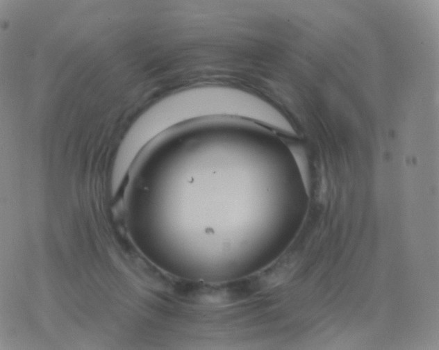 X0000076430263200610202252