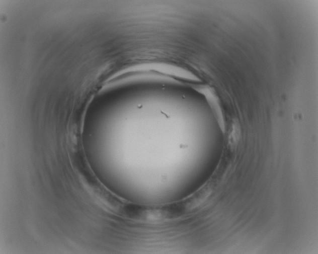 X0000076430264200610202252