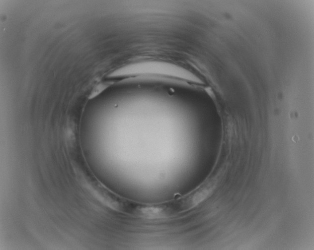 X0000076430265200610202252