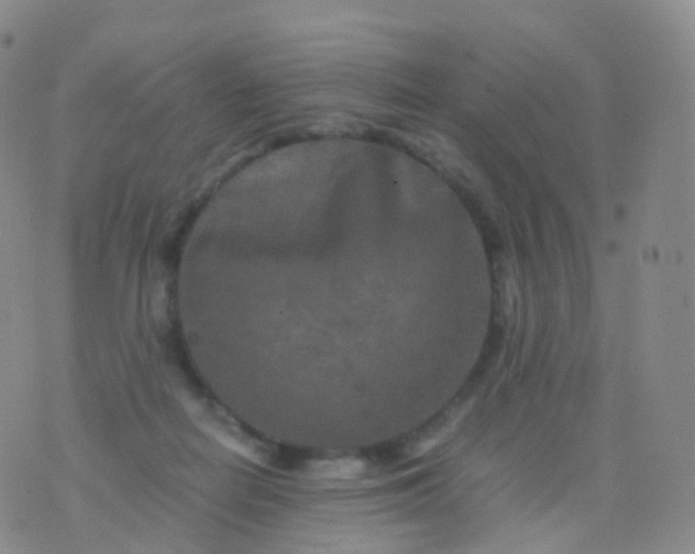 X0000076430266200610202252