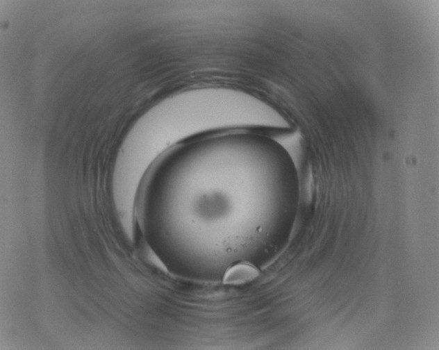 X0000076430267200610202252