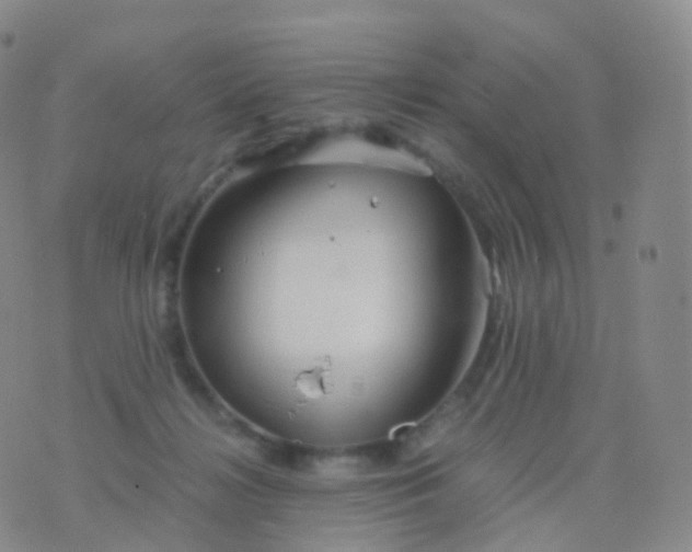 X0000076430268200610202252