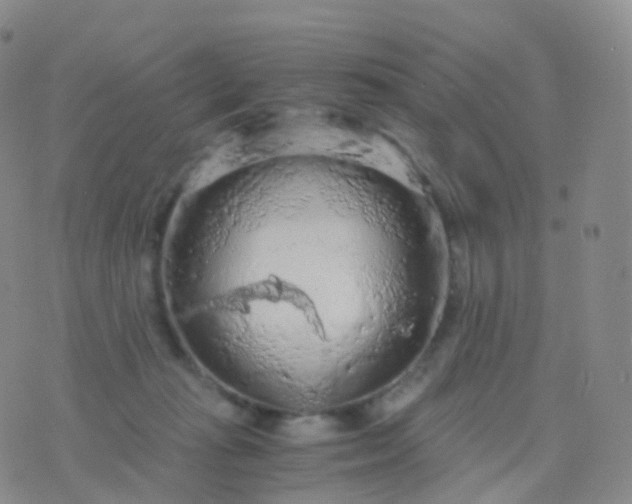 X0000076430269200610202252