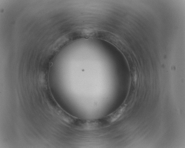 X0000076430270200610202252