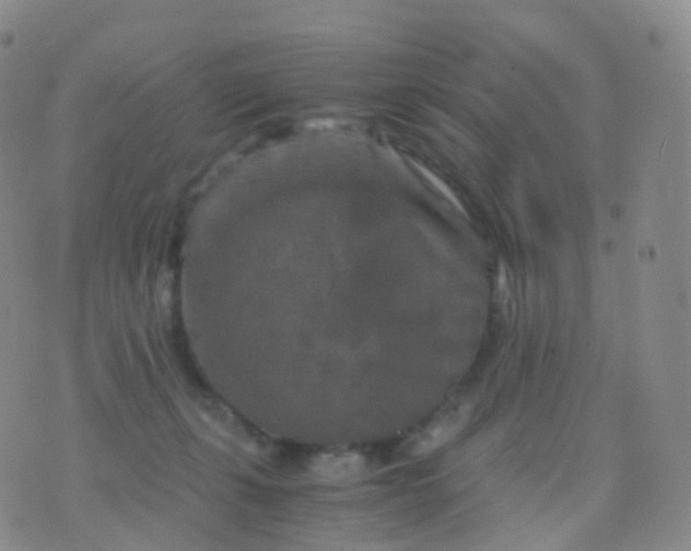 X0000076430271200610202252