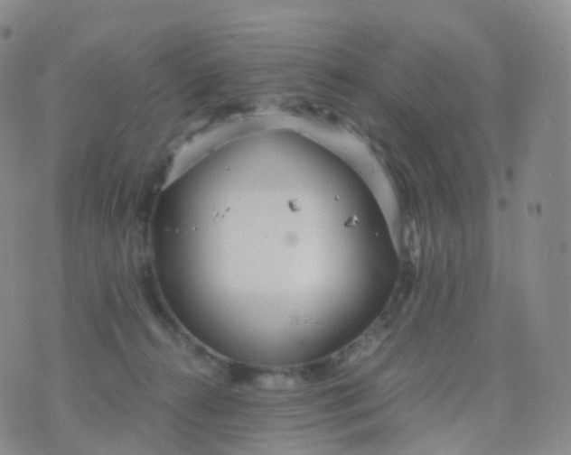 X0000076430272200610202252