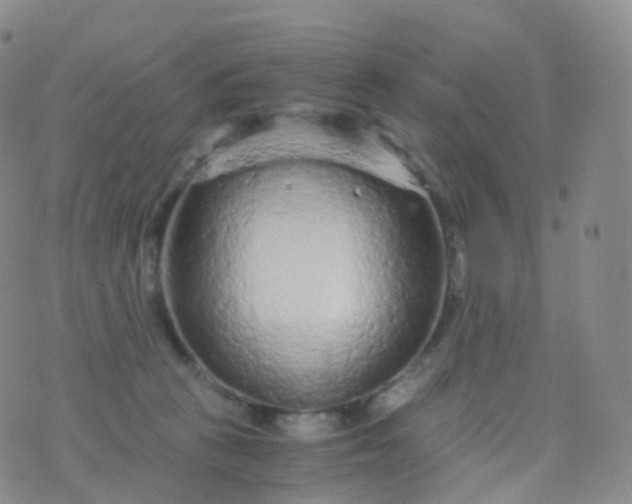 X0000076430273200610202252