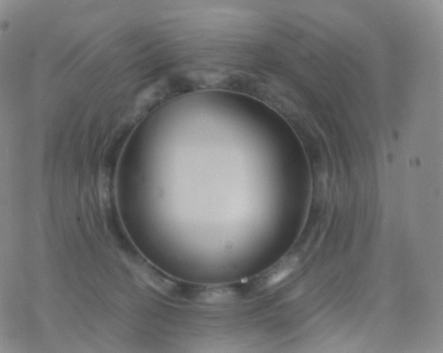 X0000076430274200610202252