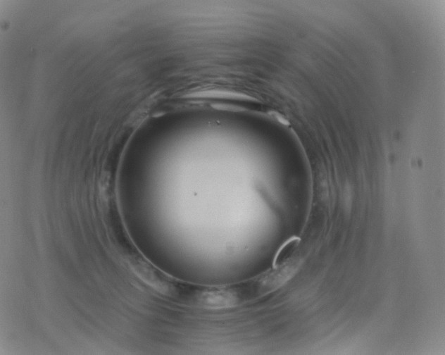 X0000076430275200610202252