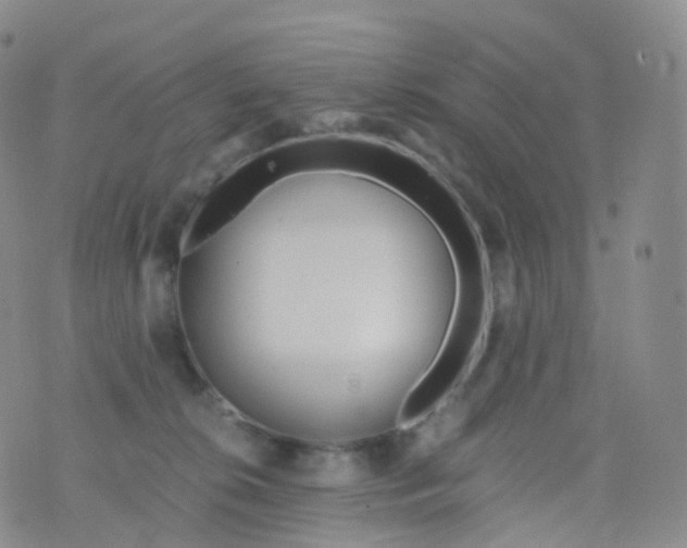 X0000076430276200610202252