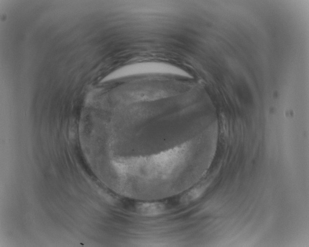 X0000076430277200610202252