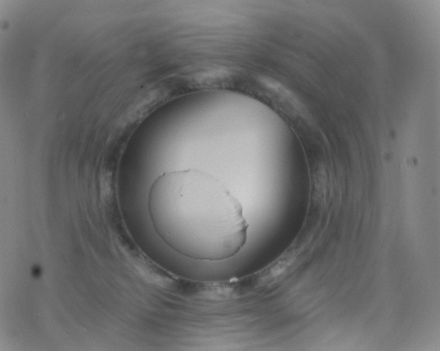 X0000076430278200610202252