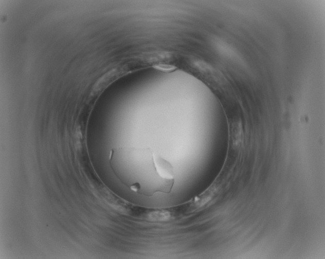 X0000076430279200610202252