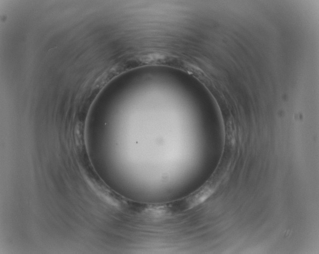 X0000076430280200610202252