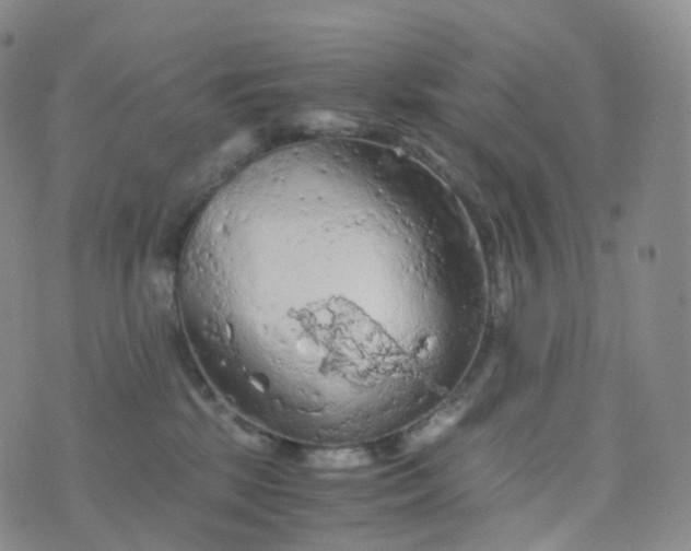 X0000076430281200610202252