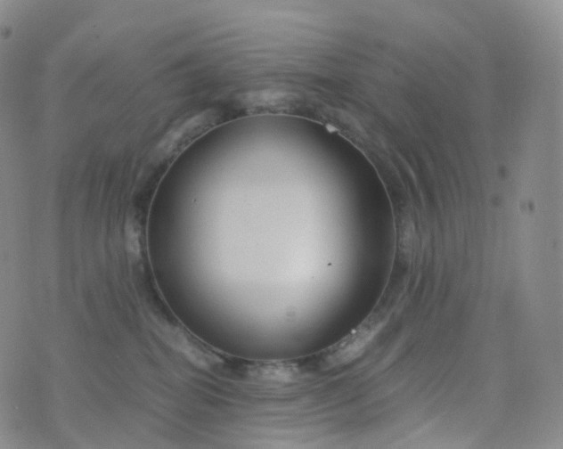 X0000076430282200610202252