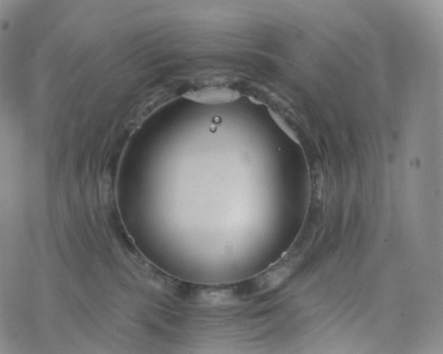 X0000076430283200610202252