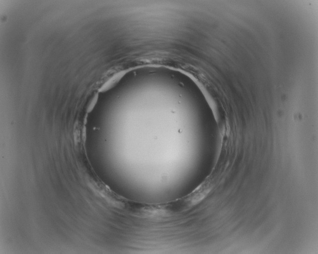 X0000076430284200610202252