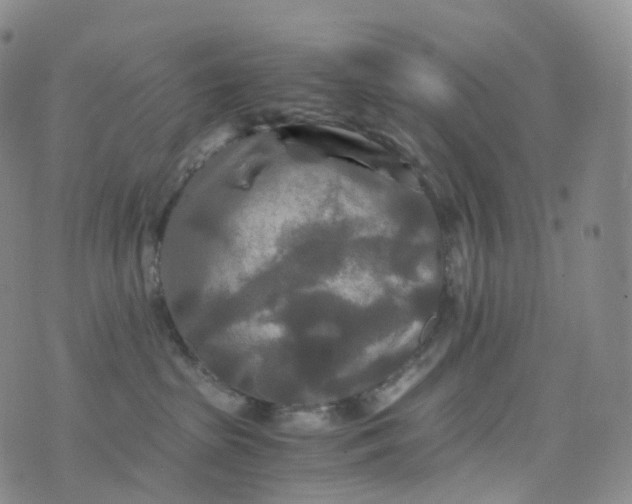 X0000076430285200610202252