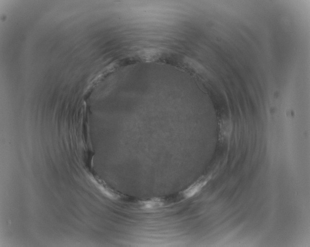 X0000076430286200610202252