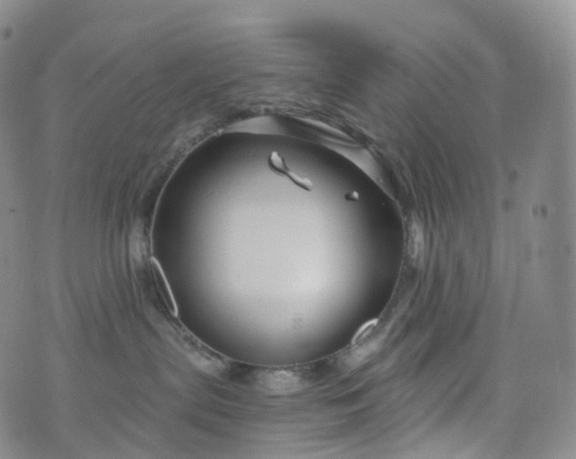 X0000076430287200610202252