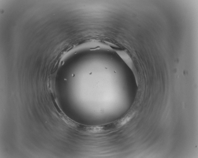 X0000076430288200610202252