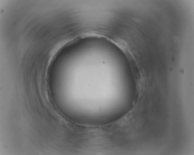 X0000076430289200610202252