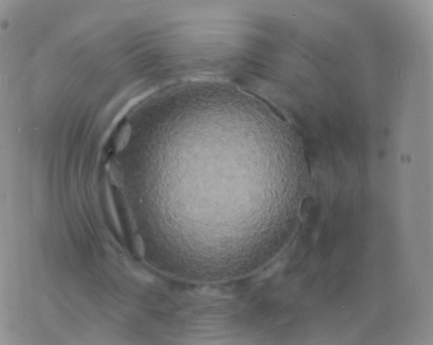 X0000076430290200610202252